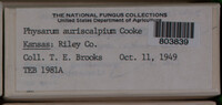 Image Associated With the Occurence
